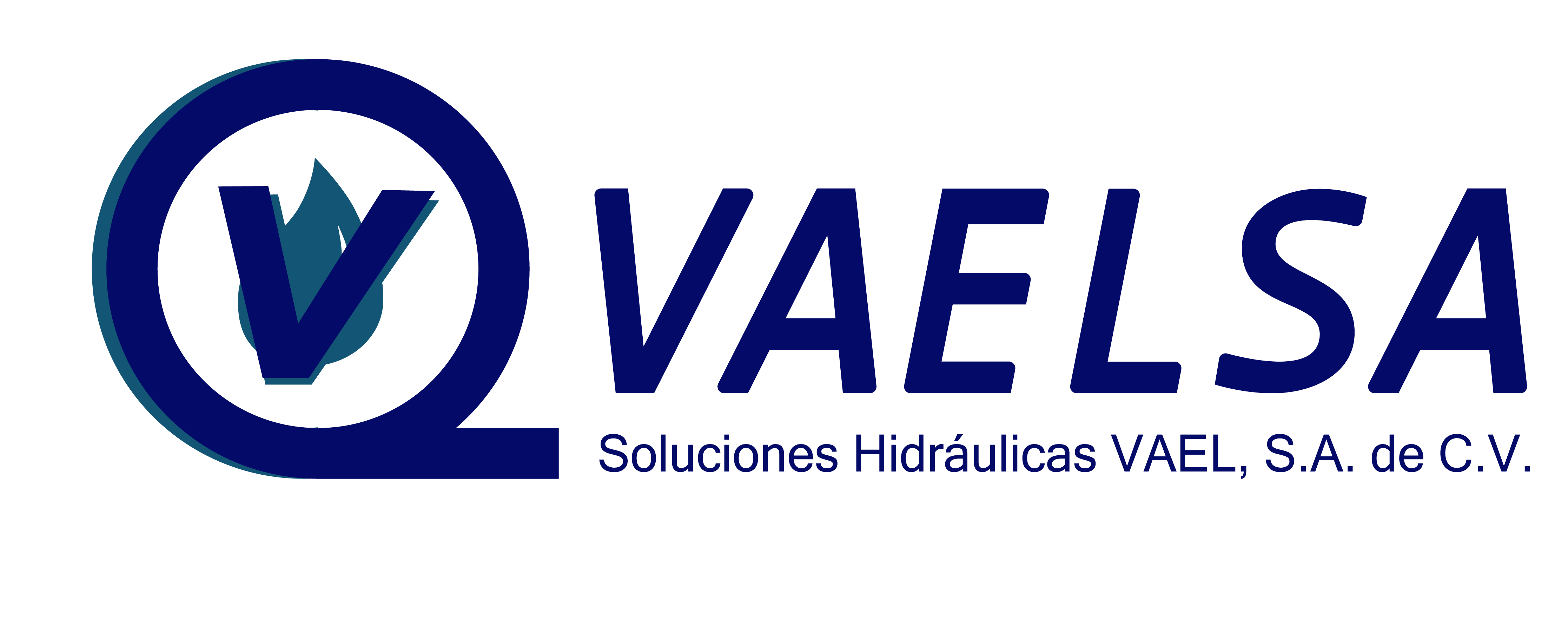 VAELSA Logo