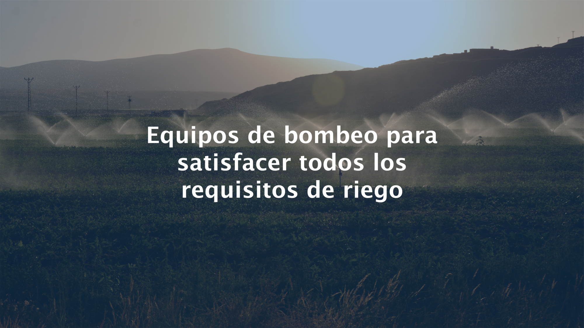 banners web nuevo-03