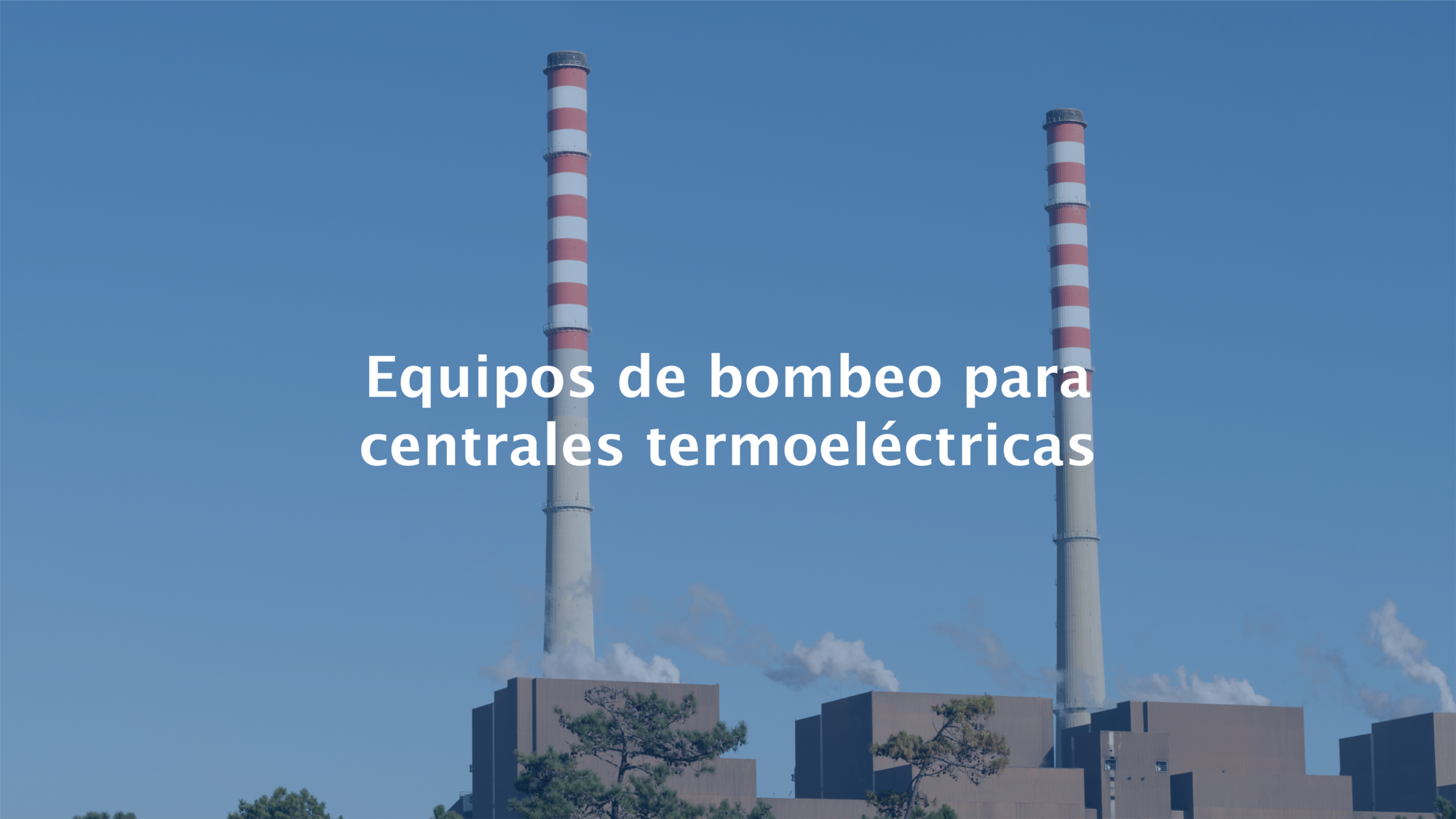 banners web nuevo-04