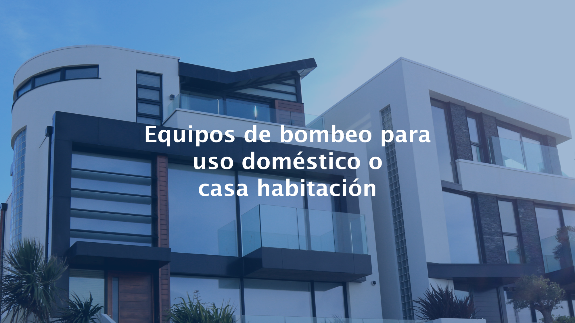 banners web nuevo-05