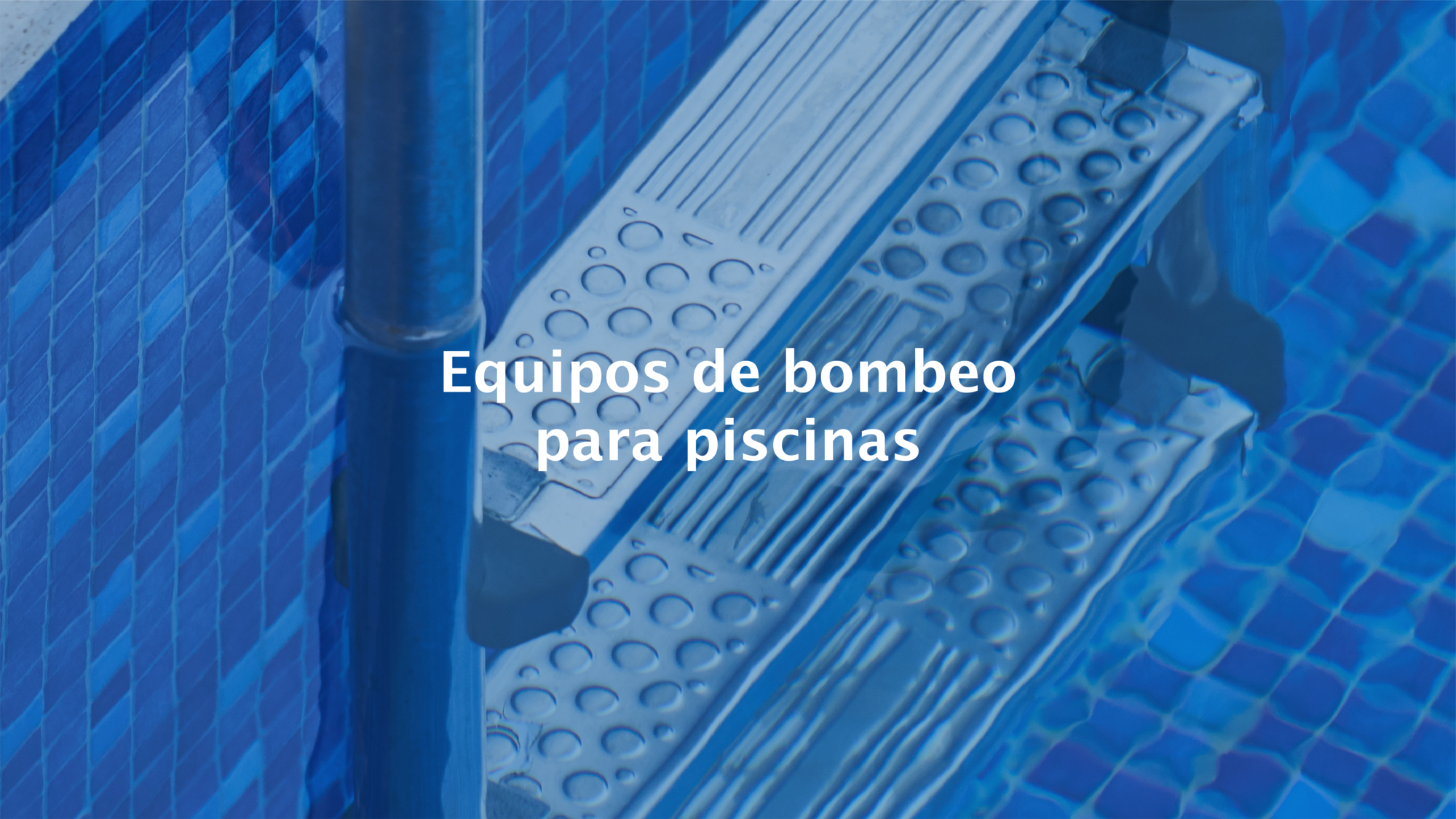 banners web nuevo-06