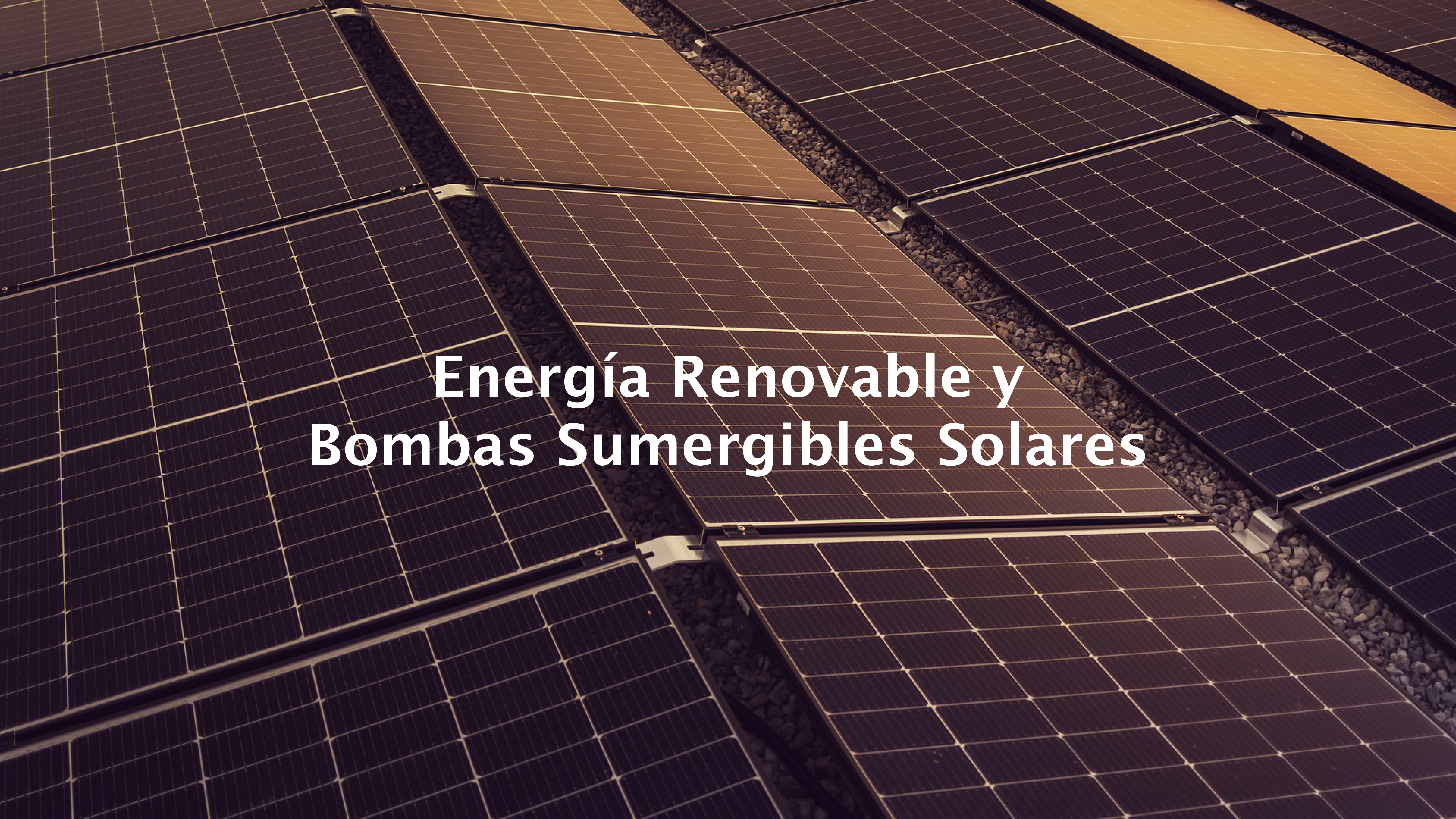 Energía Renovable