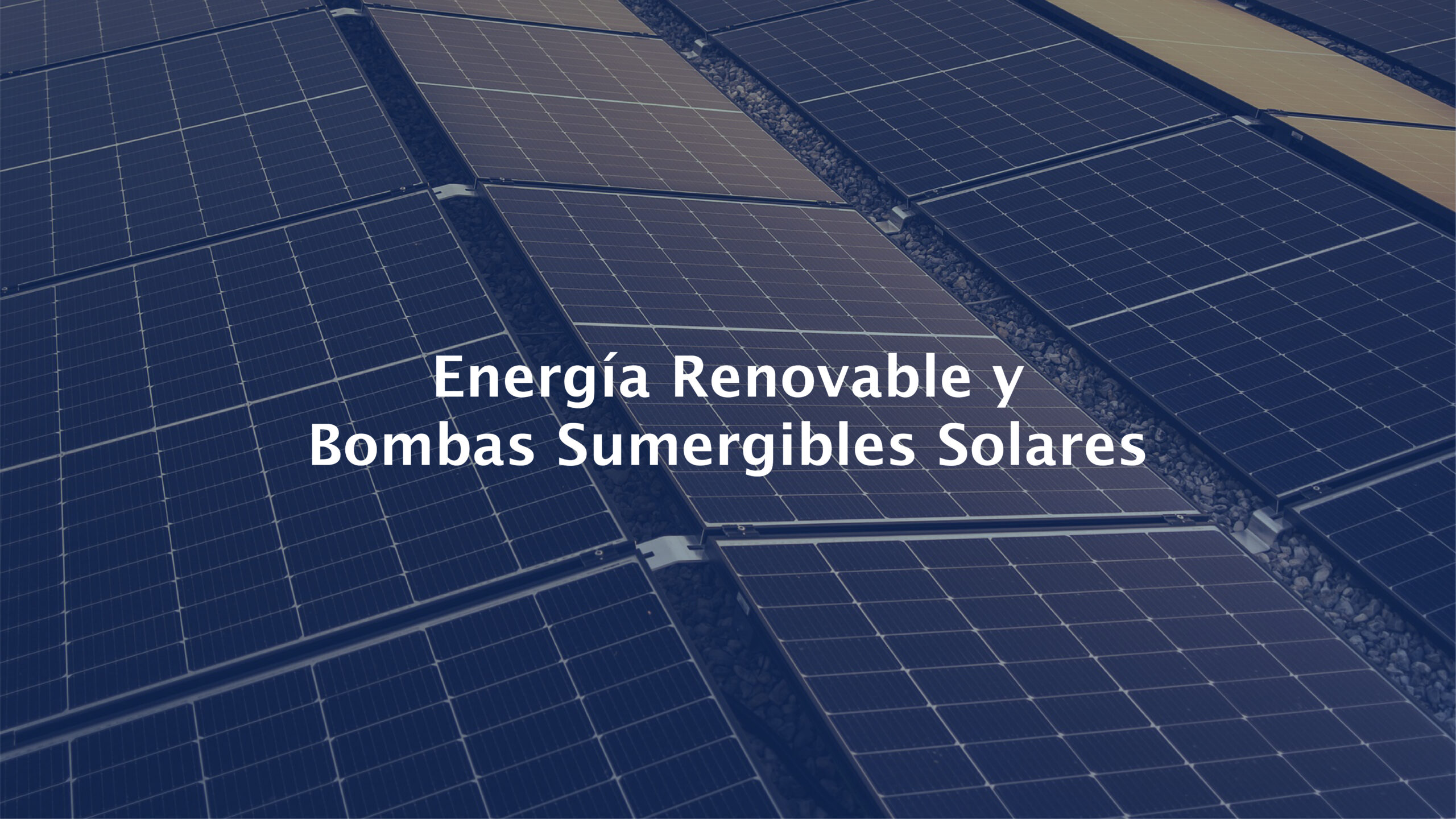 Energía Renovable
